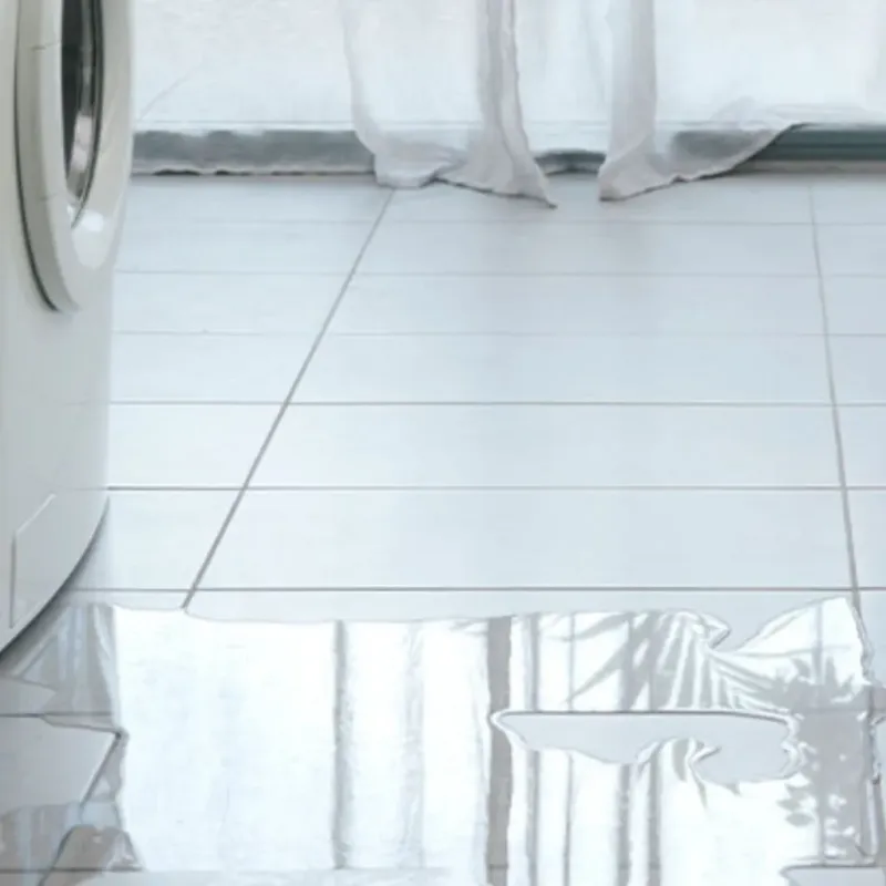 Appliance Leak Cleanup in Fairdale, KY
