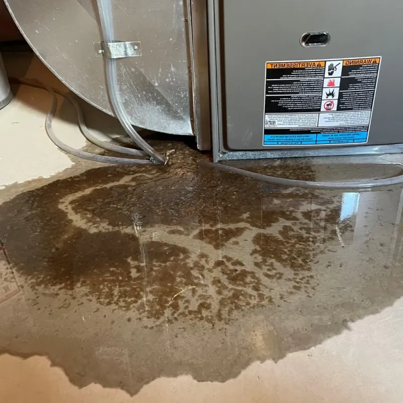 Pipe Burst and Leak Restoration in Fairdale, KY